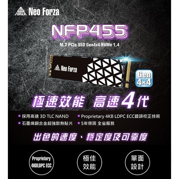 Neo Forza 凌航 NFP455 1TB PCIe Gen4x4 SSD 固態硬碟(石墨烯散熱片)-細節圖5