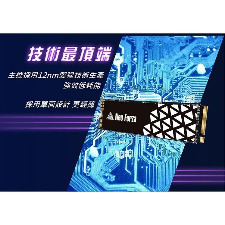 Neo Forza 凌航 NFP455 1TB PCIe Gen4x4 SSD 固態硬碟(石墨烯散熱片)-細節圖6