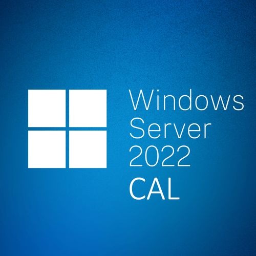 微軟 Windows Server CAL 2022 1pk DSP OEI 5 Clt Device CAL 英文隨機