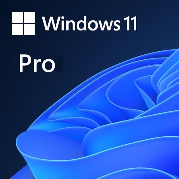 微軟 Win 11 Pro 64-bit USB 英文盒裝版 Microsoft Windows-細節圖2