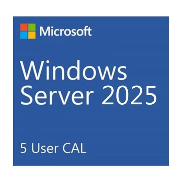 微軟 Microsoft Windows Server 2025 5 User CAL 中文隨機版-細節圖2