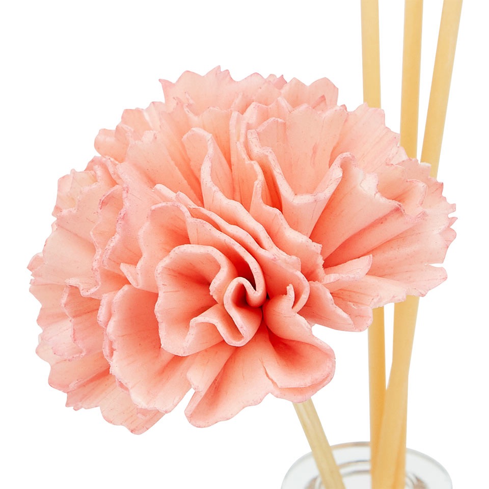 韓國連線款 kakao friends 萊恩 擴香 母親節禮物 康乃馨 發光夜燈 擴香瓶 母親節 小夜燈-細節圖3