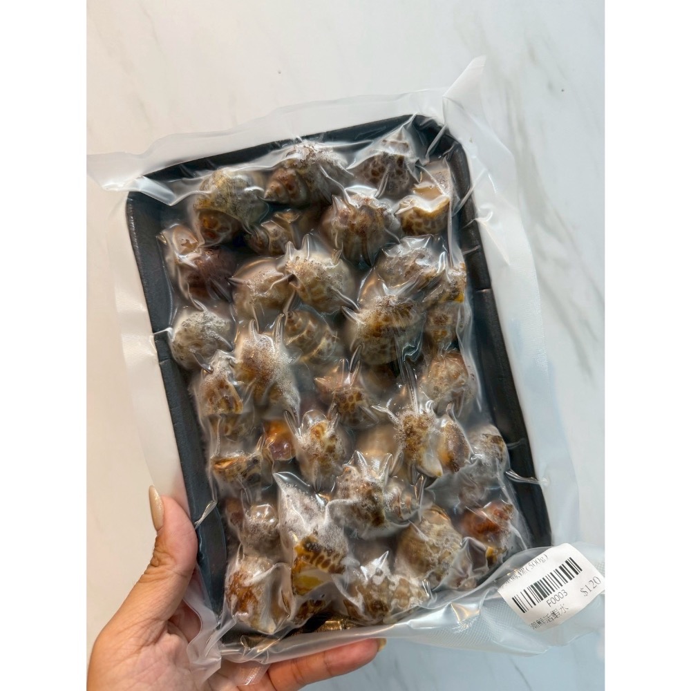 野生鳳螺｜海味老饕最愛-細節圖2