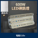 超白光（600W）