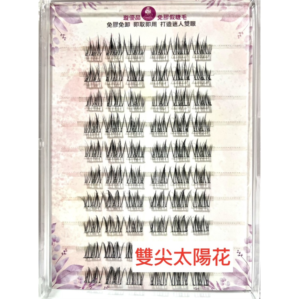 雙尖太陽花
