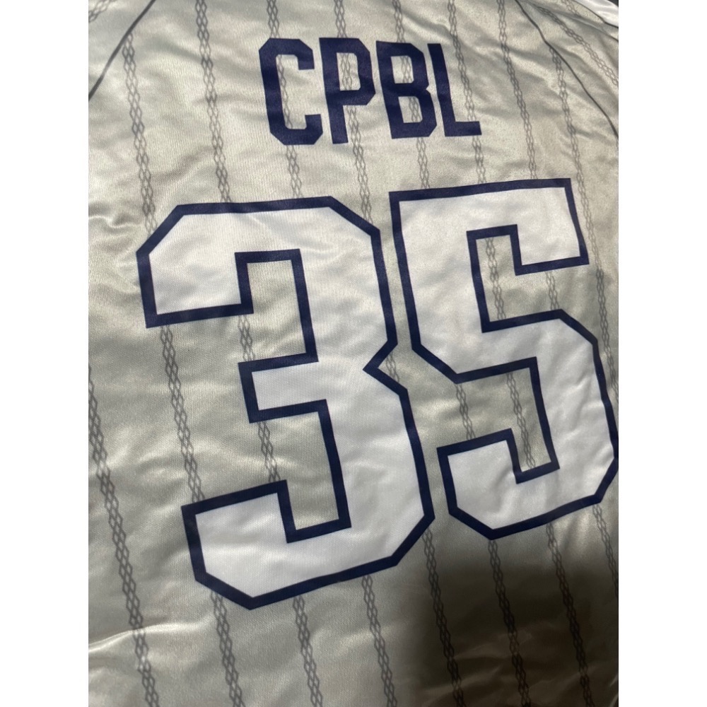 （現貨）全新[CPBL]-Team Taiwan-中華隊Taiwan球衣抱枕 潘傑凱-細節圖2