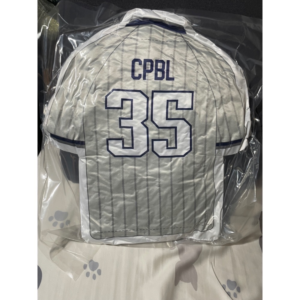 （現貨）全新[CPBL]-Team Taiwan-中華隊Taiwan球衣抱枕 潘傑凱-細節圖3