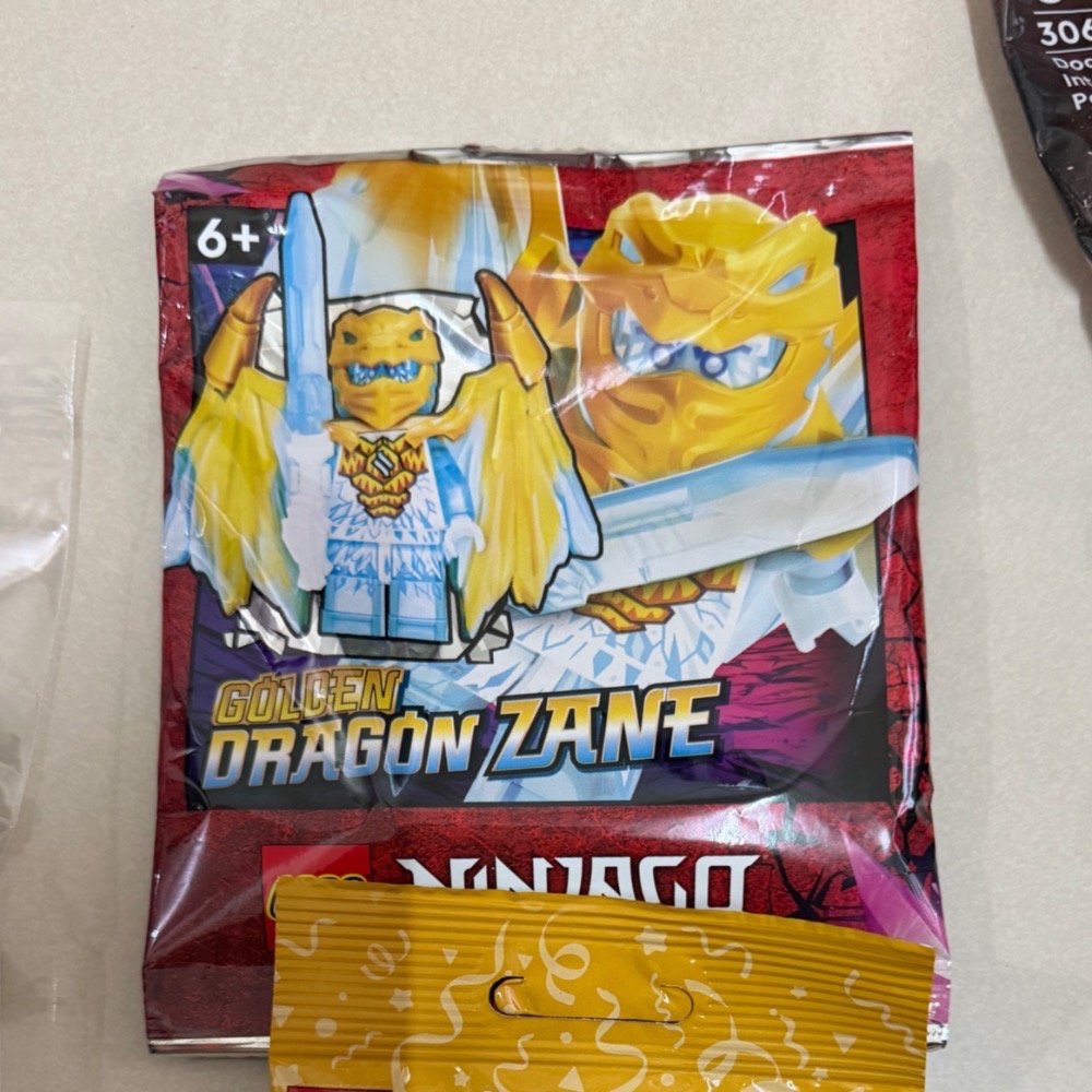 冰龍Zane忍者