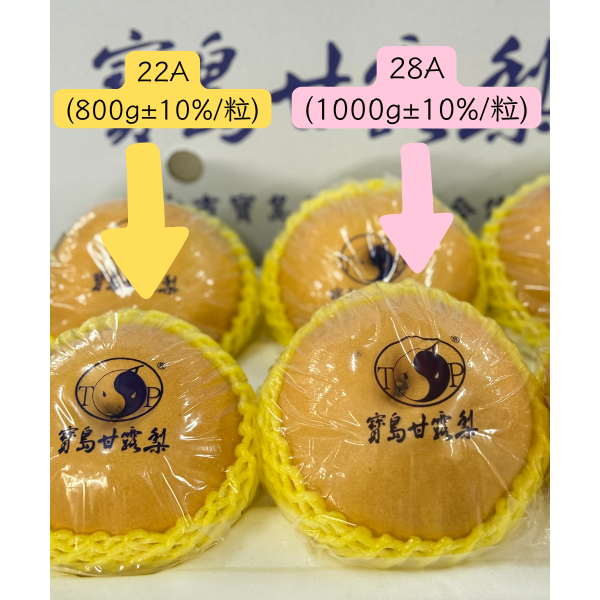 寶島甘露梨28A-細節圖3