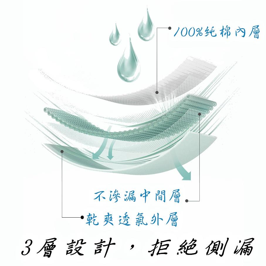 適合L 優雅生理褲(建議25~32腰)透氣包臀 舒適好穿 防漏 女內褲 生理內褲 三角褲 透氣孔 內褲 9301-細節圖6