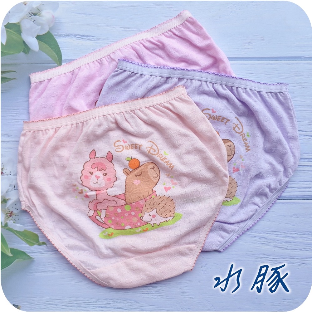 一組3件105元 台灣製 透氣棉質女童三角褲 柔軟舒適 女童內褲 兒童國小學童少女 幼稚園 童褲 貓咪小馬 台灣製造-細節圖9