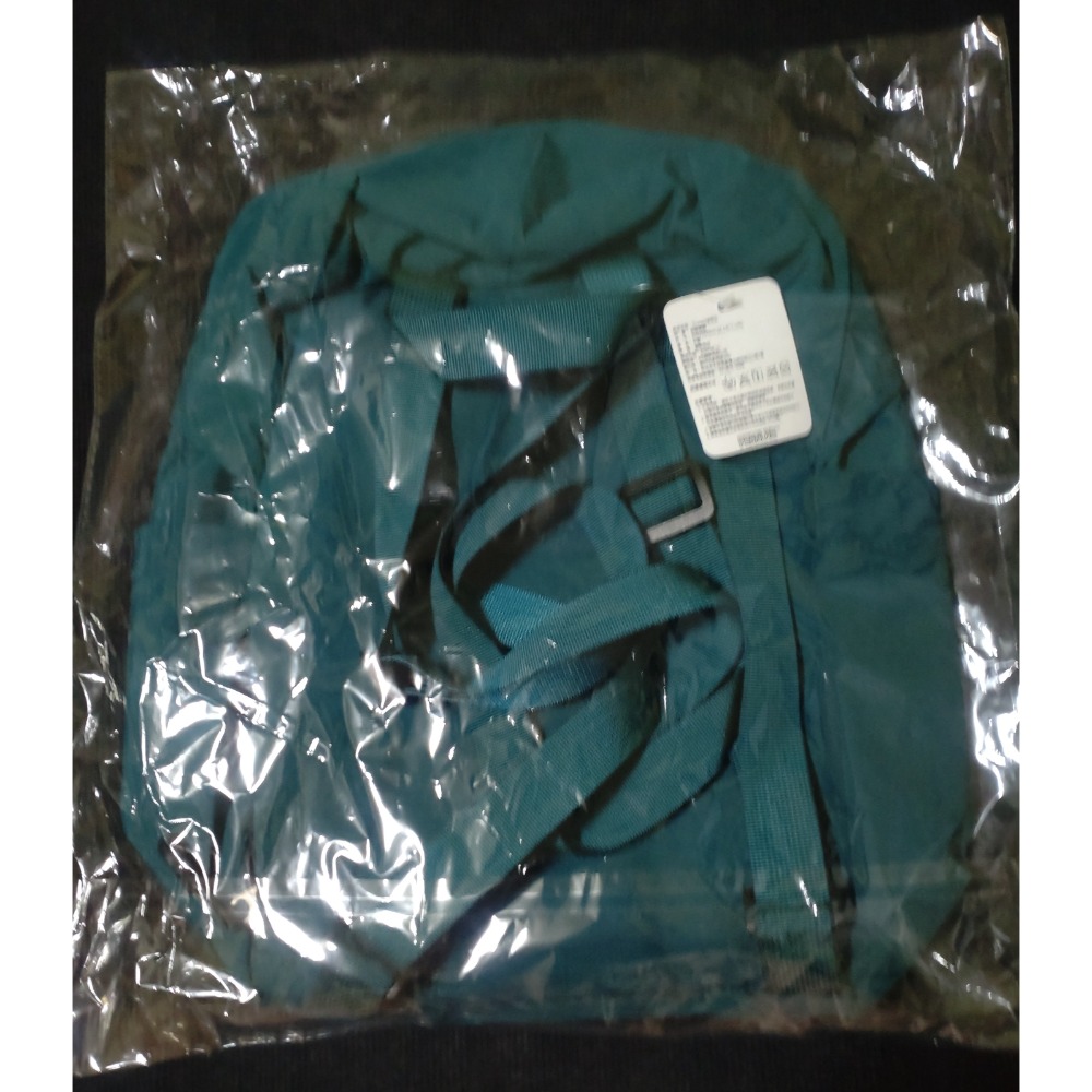 高雄夢時代會員限定來店禮Snoopy史奴比後背包-細節圖2