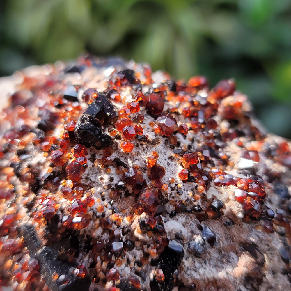 𝒜𝓁𝒾𝒸𝒾𝒶𝒢𝑒𝓂𝓈𝓉❀𝓃𝑒 福建雲霄石榴石煙晶共生玉滴石L701 紅石榴石 石榴石原礦 煙晶-細節圖2