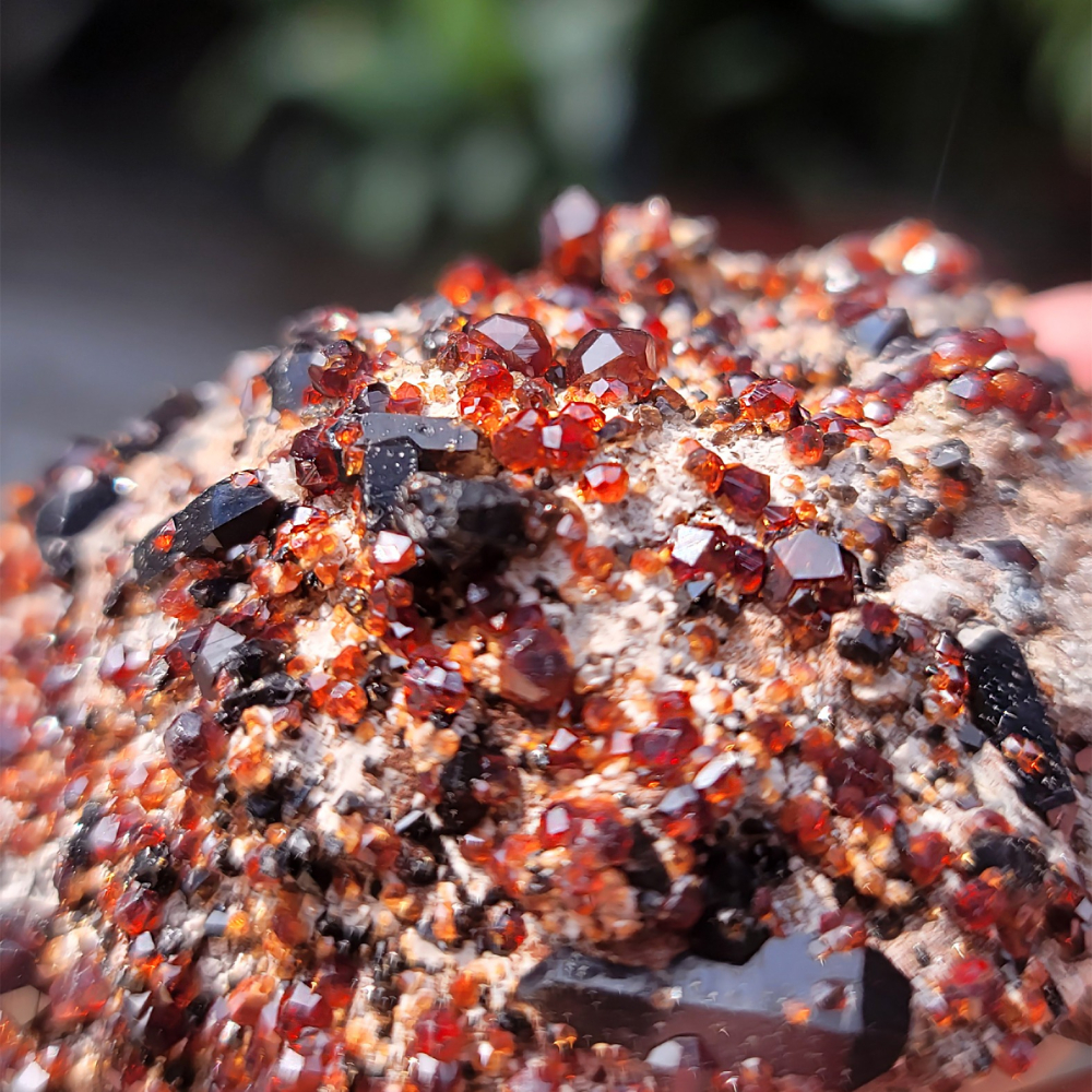 𝒜𝓁𝒾𝒸𝒾𝒶𝒢𝑒𝓂𝓈𝓉❀𝓃𝑒 福建雲霄石榴石煙晶共生玉滴石L701 紅石榴石 石榴石原礦 煙晶-細節圖3