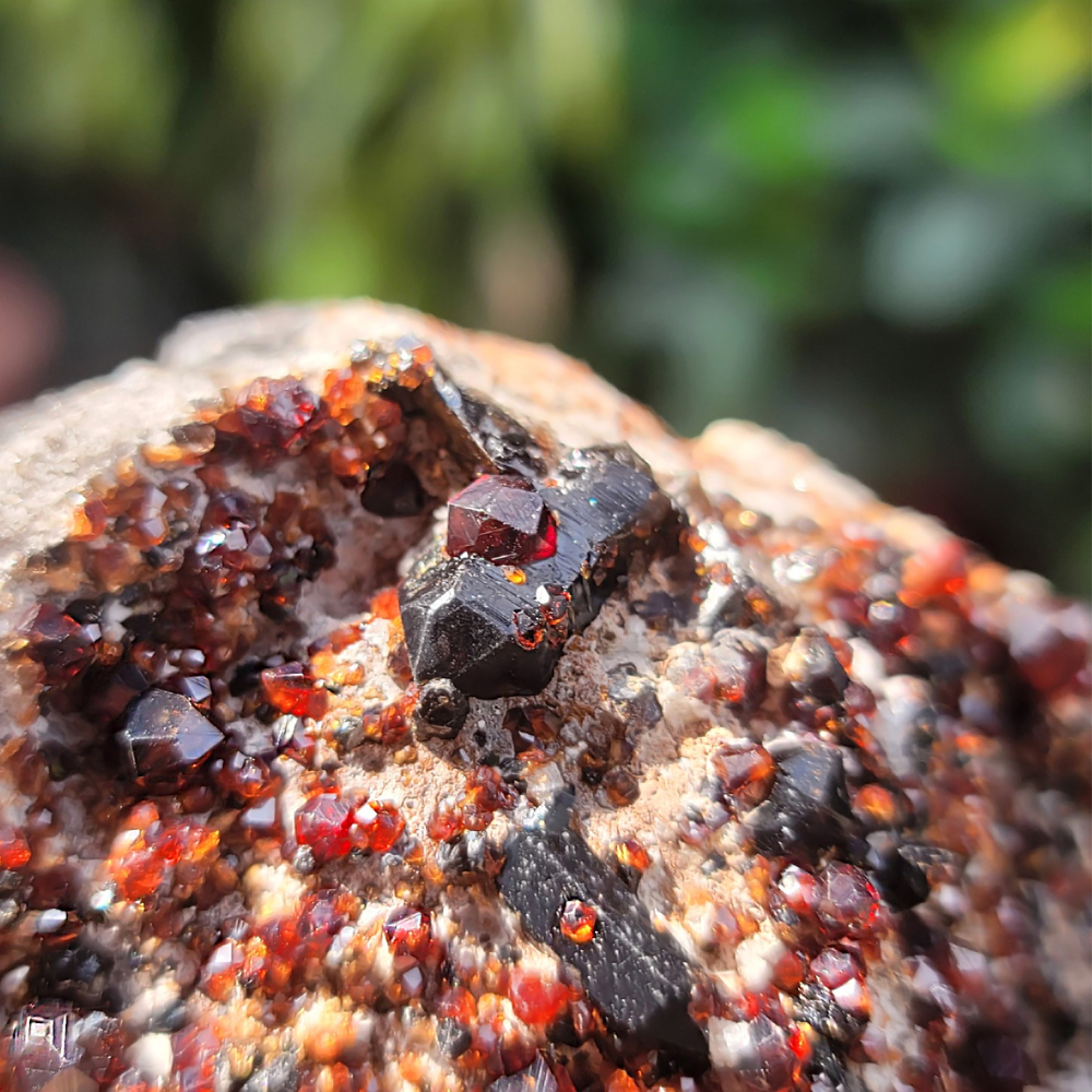 𝒜𝓁𝒾𝒸𝒾𝒶𝒢𝑒𝓂𝓈𝓉❀𝓃𝑒 福建雲霄石榴石煙晶共生玉滴石L701 紅石榴石 石榴石原礦 煙晶-細節圖4