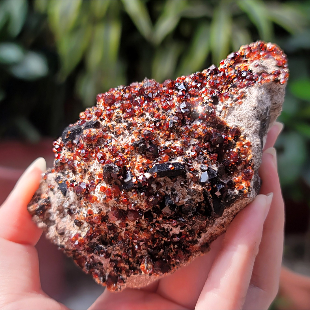 𝒜𝓁𝒾𝒸𝒾𝒶𝒢𝑒𝓂𝓈𝓉❀𝓃𝑒 福建雲霄石榴石煙晶共生玉滴石L701 紅石榴石 石榴石原礦 煙晶-細節圖8