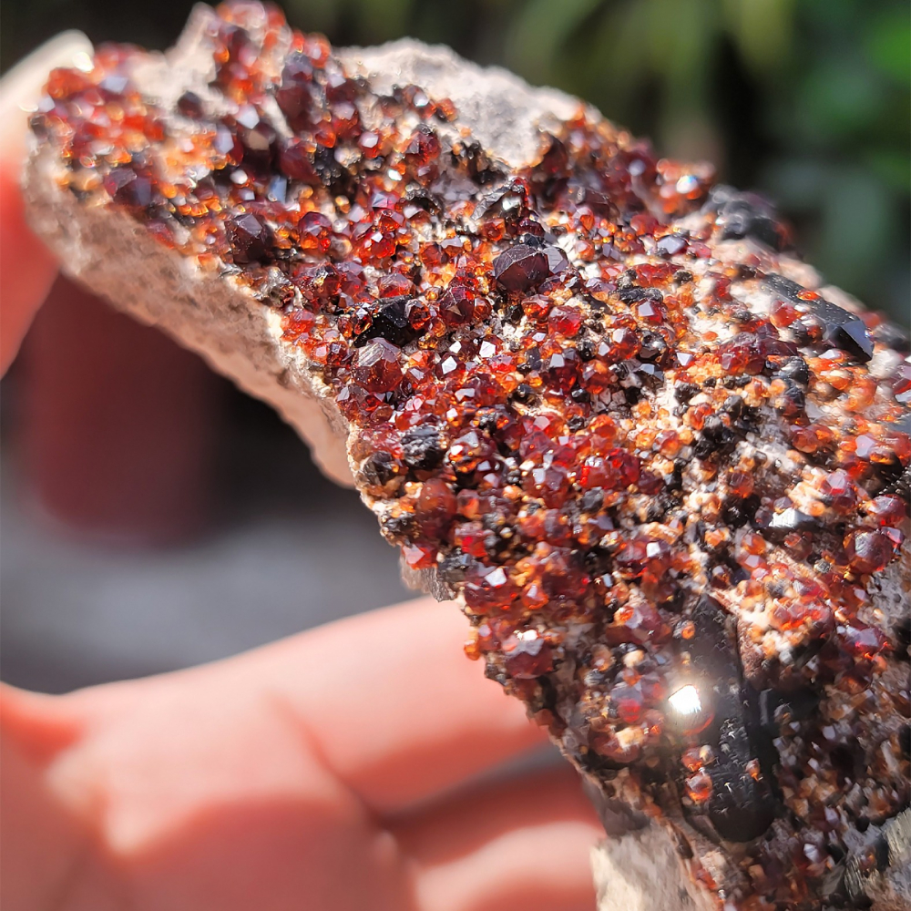 𝒜𝓁𝒾𝒸𝒾𝒶𝒢𝑒𝓂𝓈𝓉❀𝓃𝑒 福建雲霄石榴石煙晶共生玉滴石L701 紅石榴石 石榴石原礦 煙晶-細節圖9