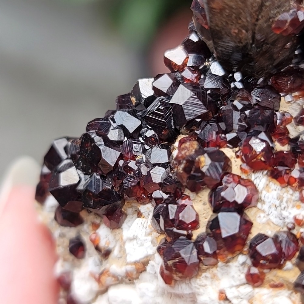 𝒜𝓁𝒾𝒸𝒾𝒶𝒢𝑒𝓂𝓈𝓉❀𝓃𝑒 福建雲霄石榴石煙晶 L702 紅石榴石 石榴石原礦 煙晶茶晶墨晶-細節圖2
