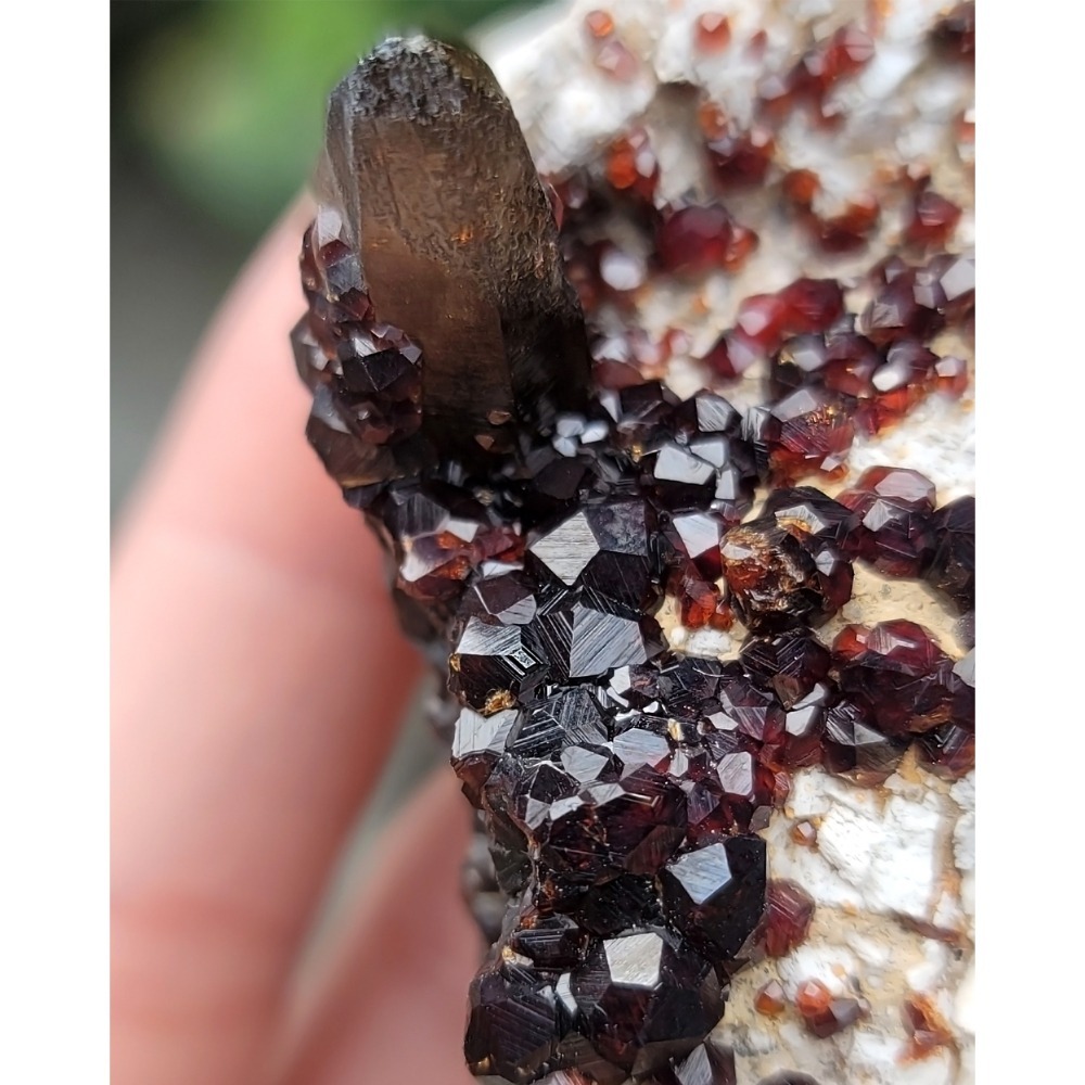 𝒜𝓁𝒾𝒸𝒾𝒶𝒢𝑒𝓂𝓈𝓉❀𝓃𝑒 福建雲霄石榴石煙晶 L702 紅石榴石 石榴石原礦 煙晶茶晶墨晶-細節圖3