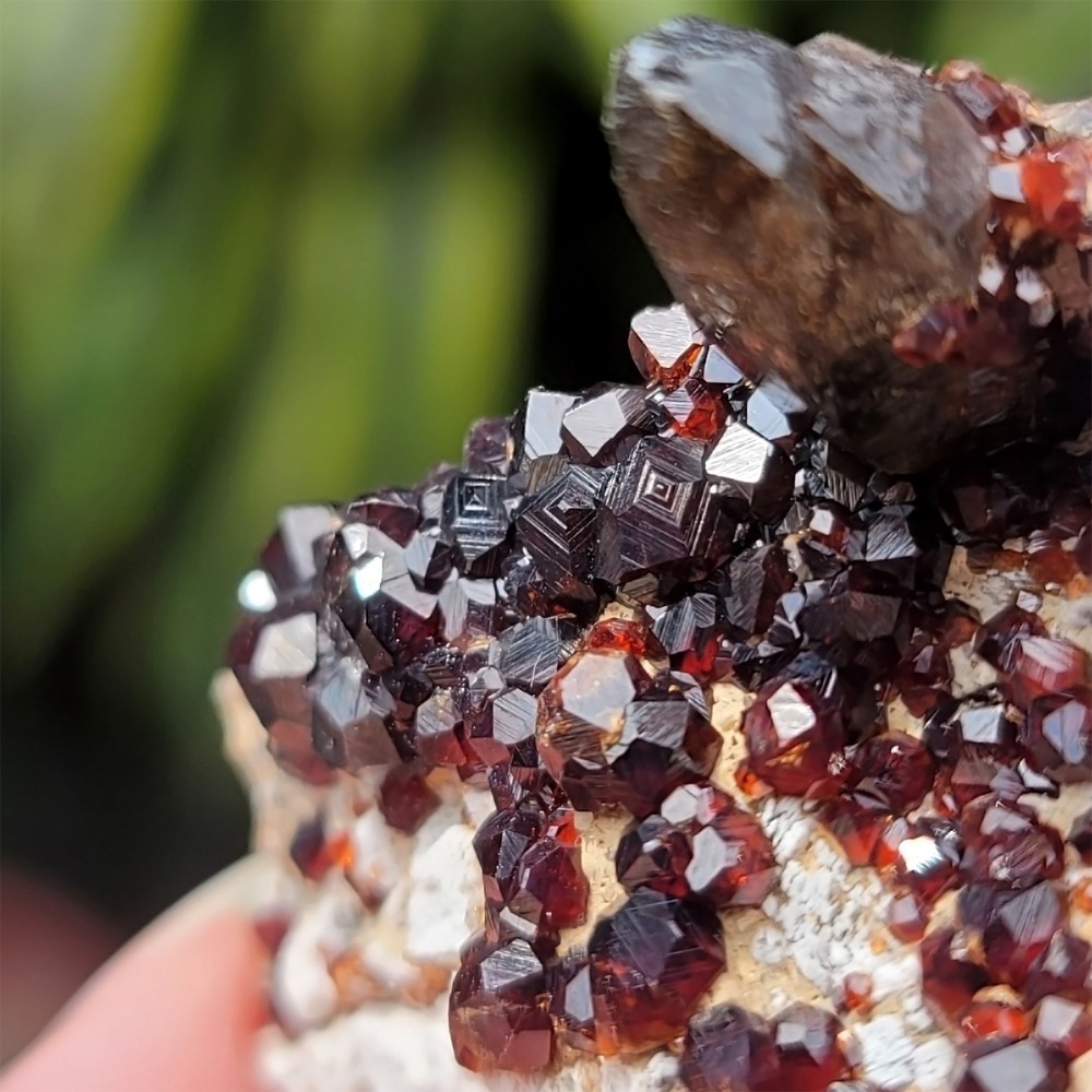 𝒜𝓁𝒾𝒸𝒾𝒶𝒢𝑒𝓂𝓈𝓉❀𝓃𝑒 福建雲霄石榴石煙晶 L702 紅石榴石 石榴石原礦 煙晶茶晶墨晶-細節圖4