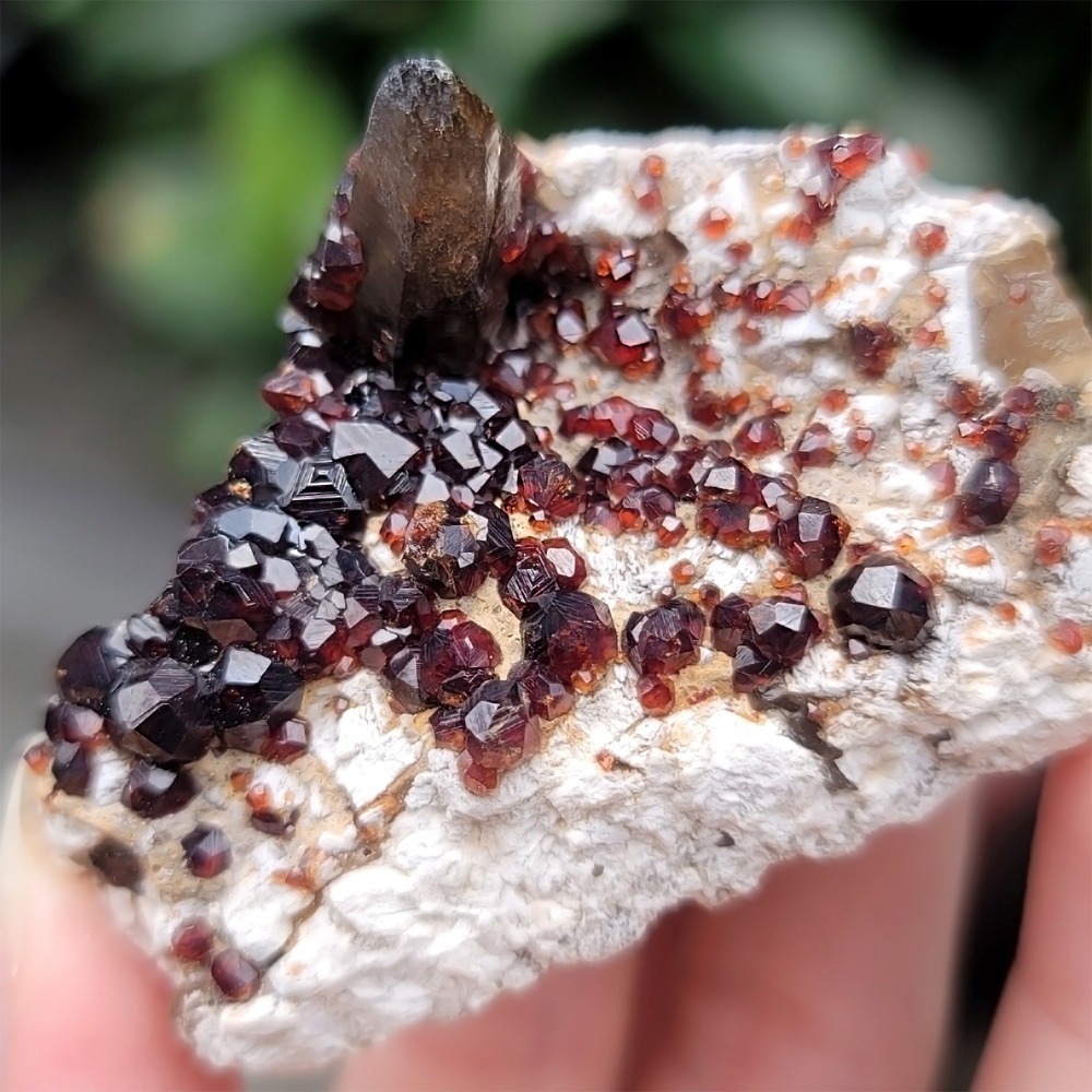 𝒜𝓁𝒾𝒸𝒾𝒶𝒢𝑒𝓂𝓈𝓉❀𝓃𝑒 福建雲霄石榴石煙晶 L702 紅石榴石 石榴石原礦 煙晶茶晶墨晶-細節圖5