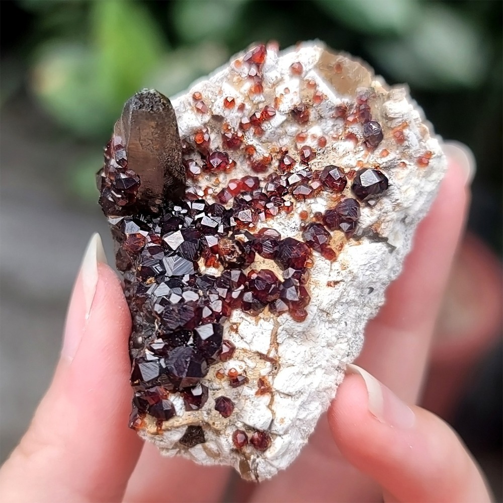 𝒜𝓁𝒾𝒸𝒾𝒶𝒢𝑒𝓂𝓈𝓉❀𝓃𝑒 福建雲霄石榴石煙晶 L702 紅石榴石 石榴石原礦 煙晶茶晶墨晶-細節圖6