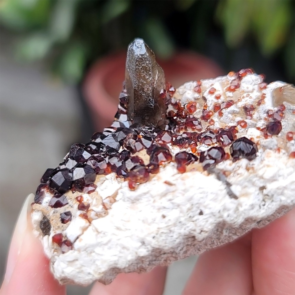 𝒜𝓁𝒾𝒸𝒾𝒶𝒢𝑒𝓂𝓈𝓉❀𝓃𝑒 福建雲霄石榴石煙晶 L702 紅石榴石 石榴石原礦 煙晶茶晶墨晶-細節圖7