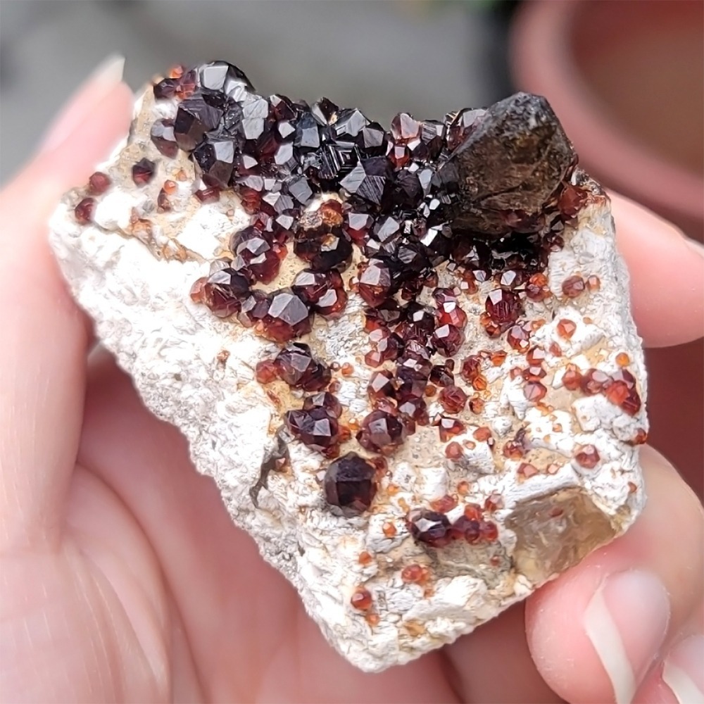 𝒜𝓁𝒾𝒸𝒾𝒶𝒢𝑒𝓂𝓈𝓉❀𝓃𝑒 福建雲霄石榴石煙晶 L702 紅石榴石 石榴石原礦 煙晶茶晶墨晶-細節圖8