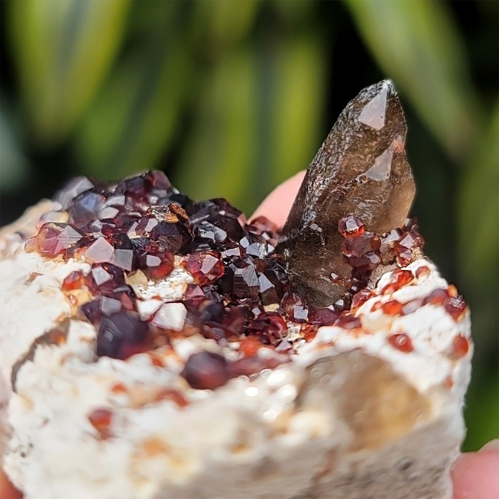 𝒜𝓁𝒾𝒸𝒾𝒶𝒢𝑒𝓂𝓈𝓉❀𝓃𝑒 福建雲霄石榴石煙晶 L702 紅石榴石 石榴石原礦 煙晶茶晶墨晶-細節圖9