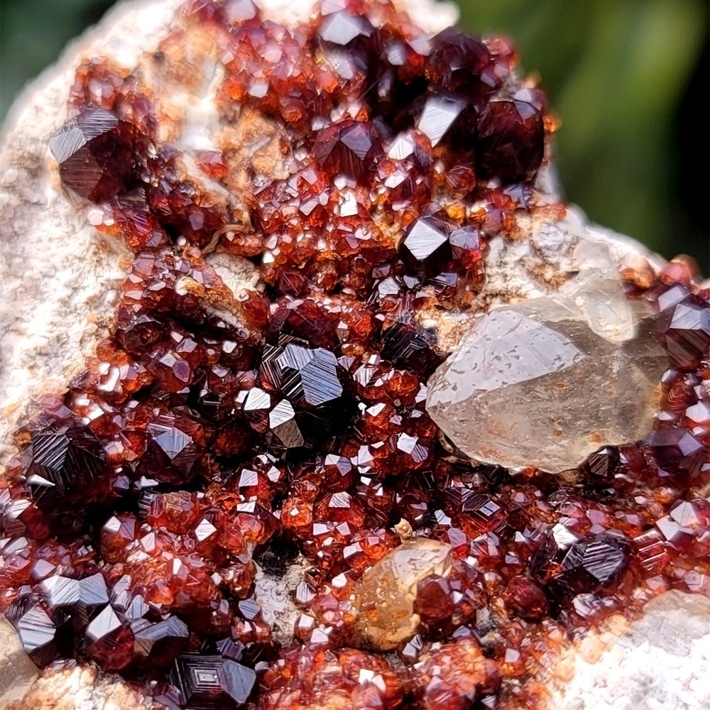 𝒜𝓁𝒾𝒸𝒾𝒶𝒢𝑒𝓂𝓈𝓉❀𝓃𝑒 福建雲霄石榴石煙晶 L703 紅石榴石 石榴石原礦-細節圖3
