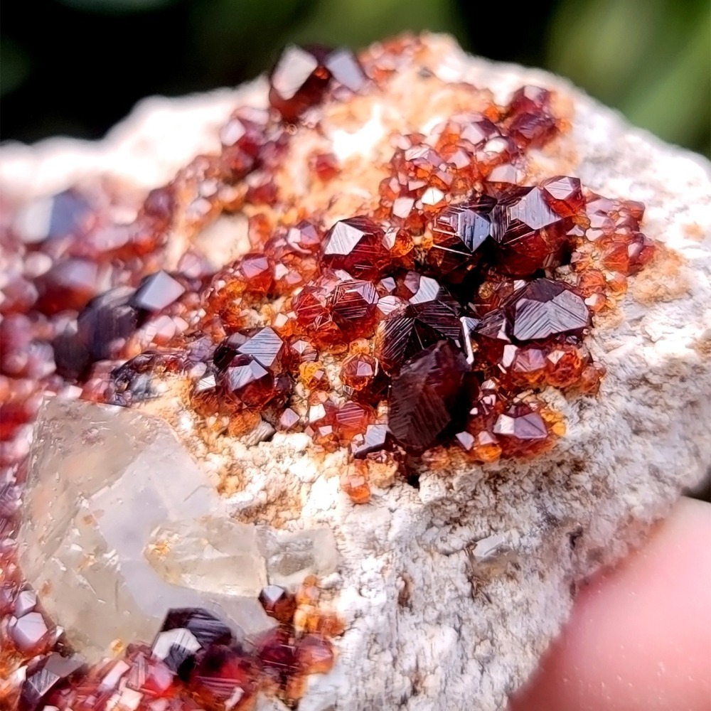 𝒜𝓁𝒾𝒸𝒾𝒶𝒢𝑒𝓂𝓈𝓉❀𝓃𝑒 福建雲霄石榴石煙晶 L703 紅石榴石 石榴石原礦-細節圖5