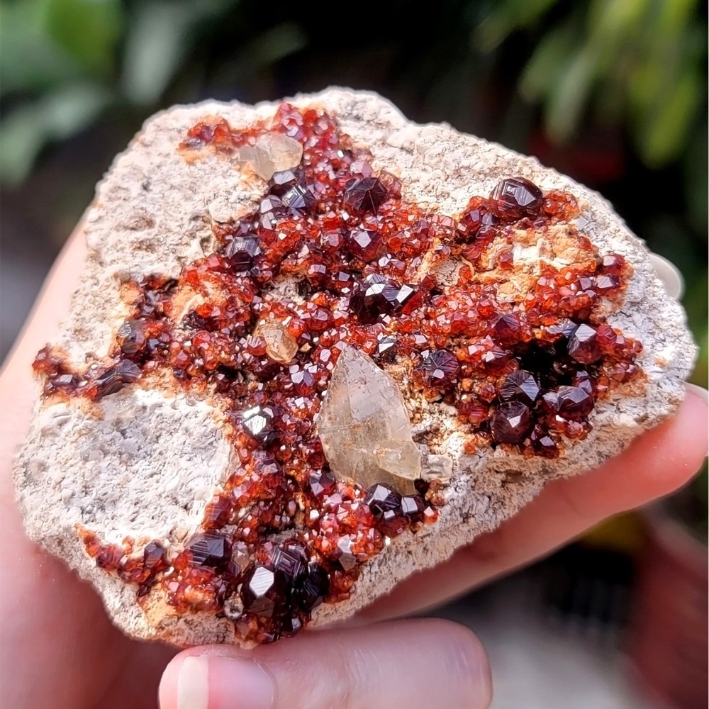 𝒜𝓁𝒾𝒸𝒾𝒶𝒢𝑒𝓂𝓈𝓉❀𝓃𝑒 福建雲霄石榴石煙晶 L703 紅石榴石 石榴石原礦-細節圖8