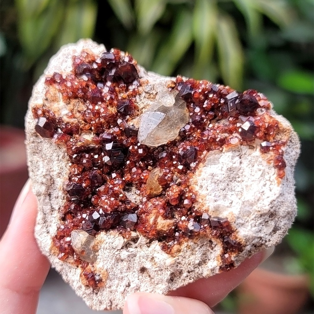 𝒜𝓁𝒾𝒸𝒾𝒶𝒢𝑒𝓂𝓈𝓉❀𝓃𝑒 福建雲霄石榴石煙晶 L703 紅石榴石 石榴石原礦-細節圖9