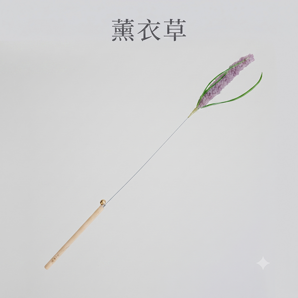 薰衣草
