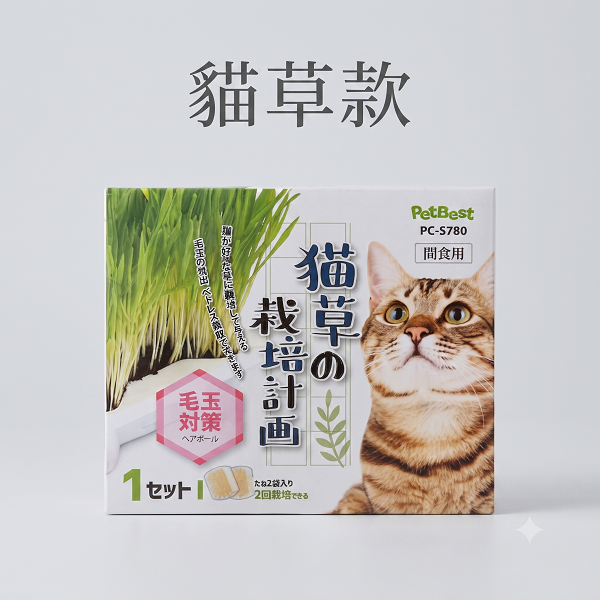 貓草／麥草種植盒-規格圖3