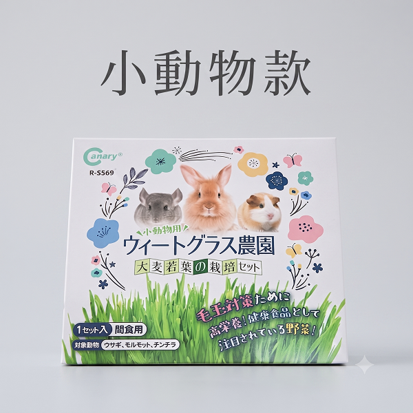 貓草／麥草種植盒-規格圖3