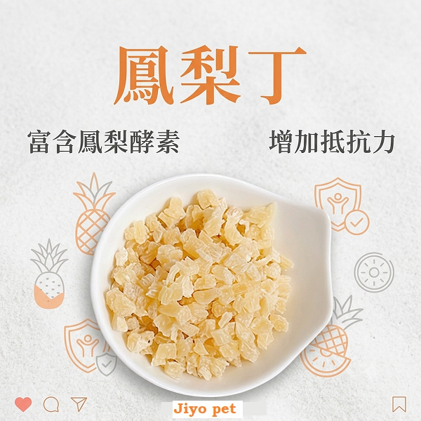 鳳梨丁