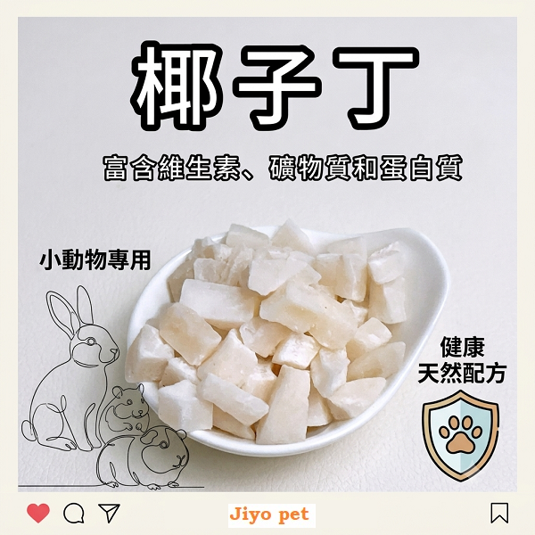 椰子丁