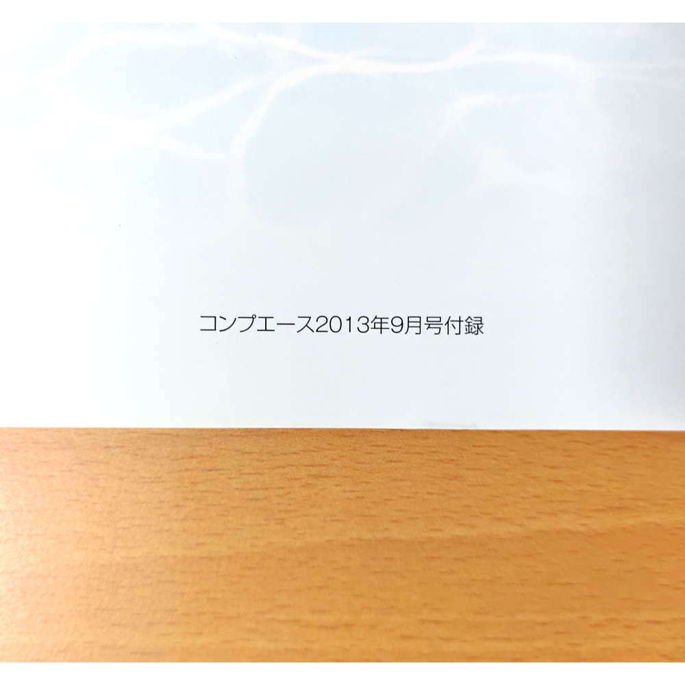 【二手】魔法少女奈葉 32P插畫集 (日本月刊COMP ACE 2013年9號 附錄)-細節圖3