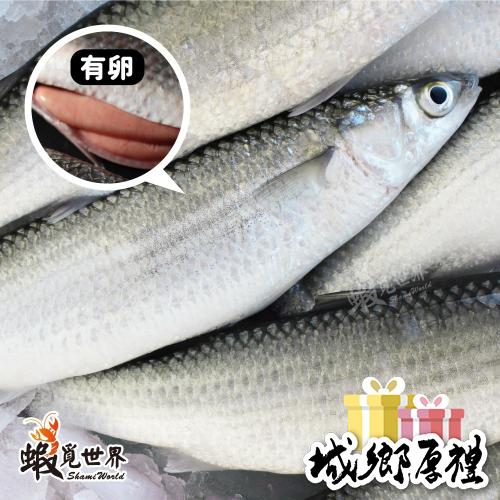 【蝦覓世界】4/5尾入-悠活豆仔魚-有卵/320g