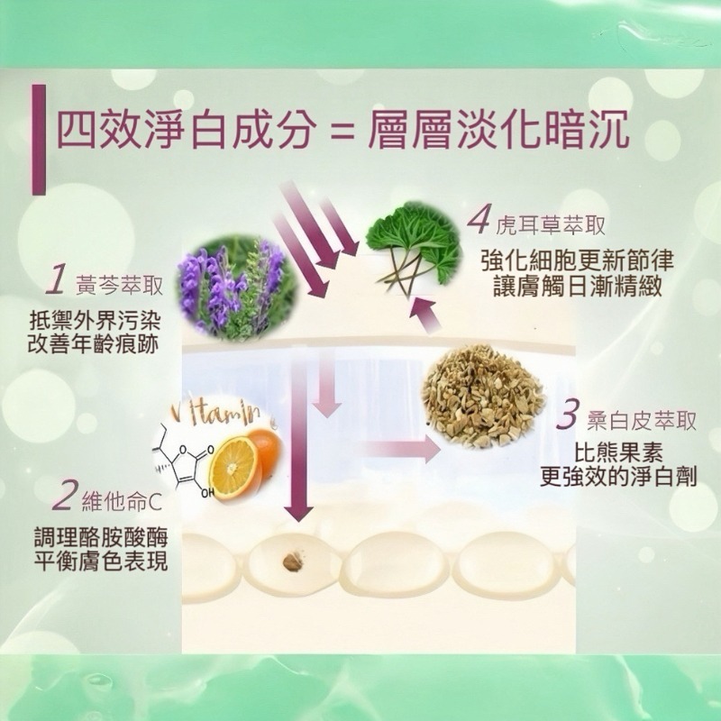 2026台酒生技酒粕精粹逆齡活膚青春露 暢銷銀耀組 /120ml-細節圖5