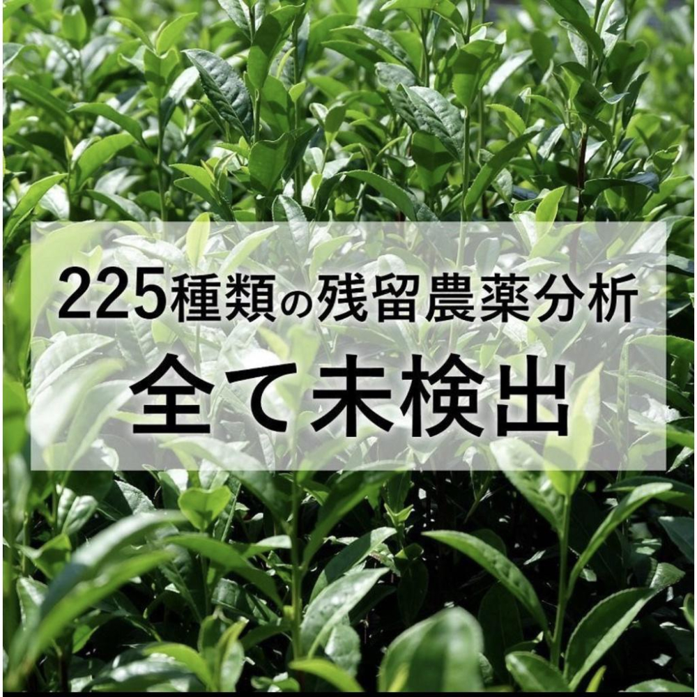 日本原裝 FINE JAPAN 33入發酵黑烏龍茶 普洱茶萃取 隨身包 ✈️鑫業貿易-細節圖5