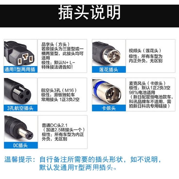 110V充電器 36V鋰電池專用電動自行車微型二輪電動車-細節圖5