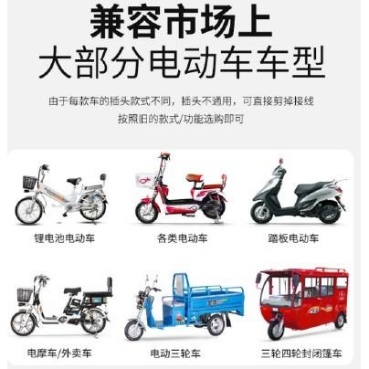 台灣桃園現貨 電動車轉把定速巡航電門改裝油門把手電瓶車加速手柄倒車通用配件電動自行車戰狼戰警極酷 輝-細節圖4