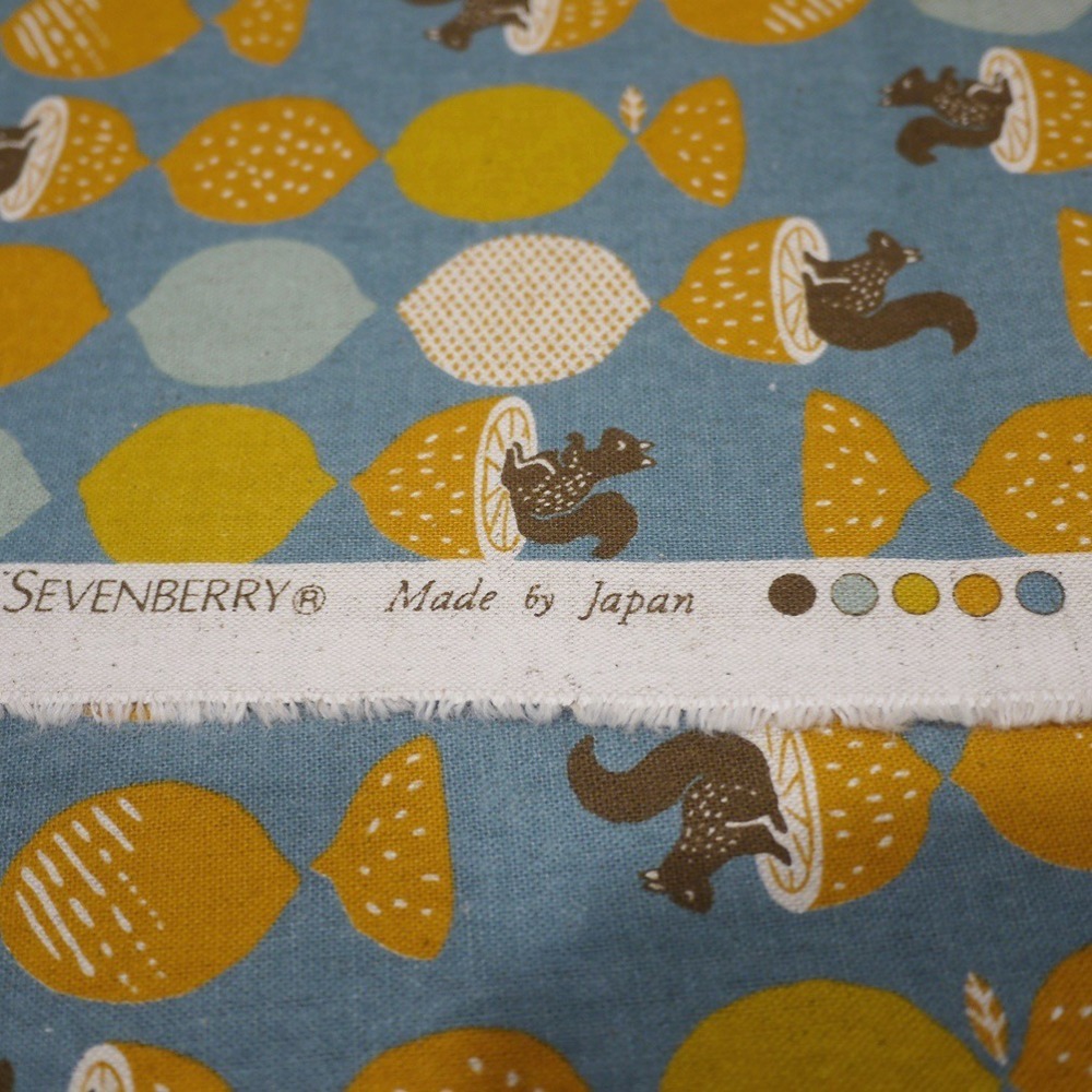 24H出貨/免費包裝/日本布松鼠雷蒙卡片零錢包-細節圖5