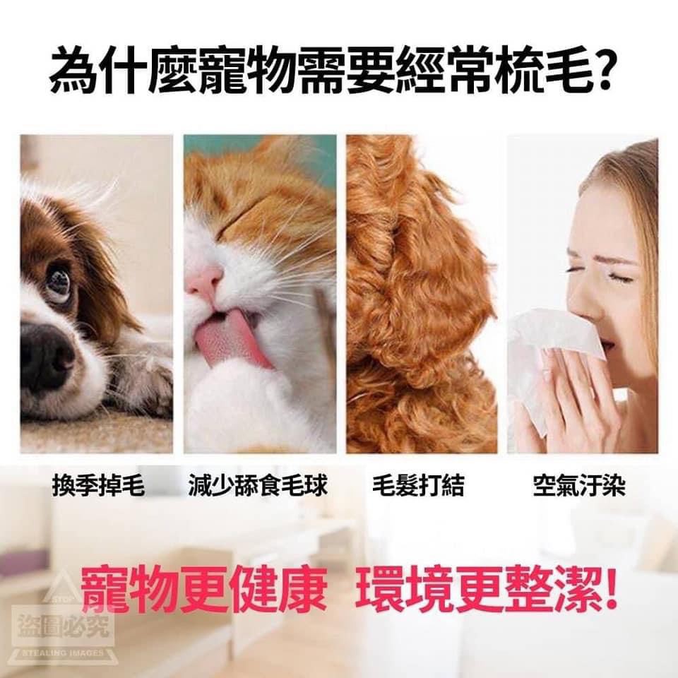 一鍵除毛寵物按摩刷梳-細節圖2