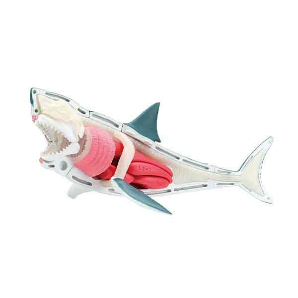 MegaHouse 自然科學系列 鯊魚 立體拼圖 桌遊 整人玩具 派對玩具 COCOS DK398-細節圖5