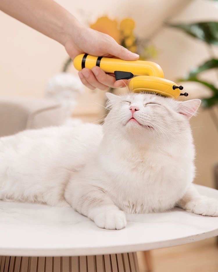 小蜜蜂の梳子-細節圖3