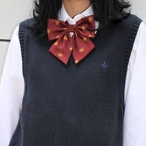 🇯🇵日本 Harry Potter × KANKO 學院(獅、蛇)領帶、領結/蝴蝶結 哈利波特聯名周邊 霍格華茲-細節圖3