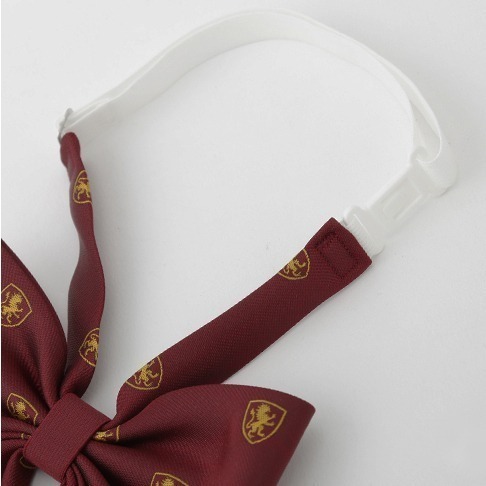 🇯🇵日本 Harry Potter × KANKO 學院(獅、蛇)領帶、領結/蝴蝶結 哈利波特聯名周邊 霍格華茲-細節圖2